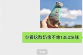 江北为什么选择专业追讨公司来处理您的债务纠纷？